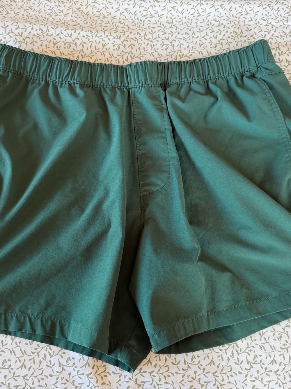 Hollister Men's Athletic Shorts in Green